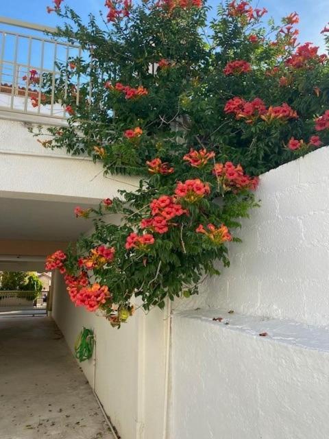 Spata Lykourgos Homes Exterior foto